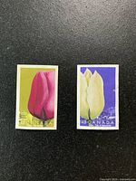 Both stamps front view