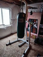 Full view of Century stand with Everlast heavy bag and speed bag