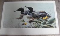 Full view of the print depicting loons and chicks