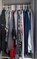 Full view of assorted tops hanging in closet