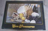 Full view of poster showing shell arrangement and title