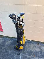 Full view of club set in stand bag