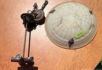 Full lot view showing glass dome and metal hardware