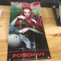 Full view of folded Poison Ivy mini poster on table