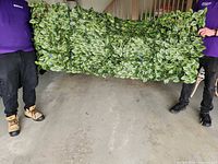Full view of rectangular artificial foliage panel held horizontally