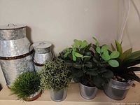 Group of five faux plants in small galvanized buckets plus two larger milk cans