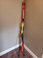 Full view of skis standing upright with poles and tip cover