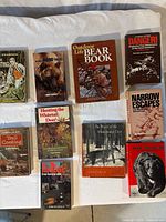 Overhead shot showing all 10 books laid out for identification and condition