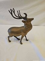 Left-front angle of brass deer showing antlers and body detail