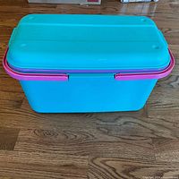Closed teal tote with pink latches