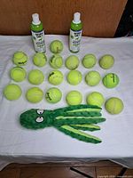 Full lot showing tennis balls, plush toy, shampoo bottles