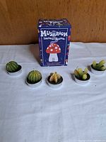 Front view of boxed mushroom incense burner with five cactus candles
