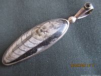 front view showing orthoceras fossil cabochon and silver bezel