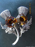 Full view of brooch showing thistle design and stones