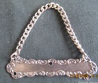 Front view of sterling bottle tag with chain displayed