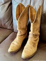 Full view of both boots showing overall style, toe shape and wear