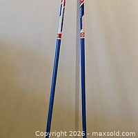 Full view of both ski poles standing upright