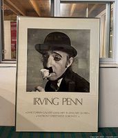 Front view of framed Irving Penn poster