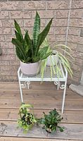 All four potted plants displayed together on and below white metal table