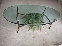 Top view of oval glass coffee table, wrought iron base, artificial fern, on beige carpet