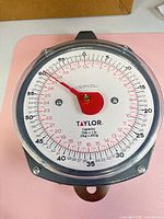Front view of Taylor hanging dial scale showing full face, hook and top loop
