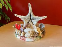 front view showing starfish centerpiece and shell arrangement on base