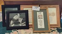 Group of five frames showing sizes, colors and materials