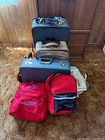 Group shot showing all three suitcases and two backpacks