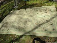 Patterned green and beige outdoor rug spread on ground