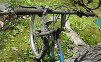 Handlebars, front wheel, frame colour and brake setup visible