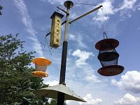 Three bird feeders hanging on a tall metal pole against a blue sky with trees in background.