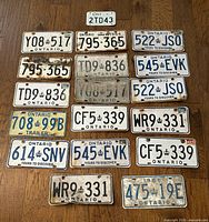 Group shot of all 18 Ontario plates on wood floor