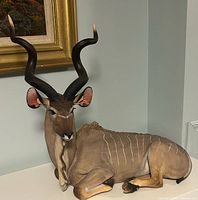 Full view of recumbent Greater Kudu sculpture