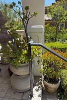 Overall view showing stacked beige urns and terracotta pot with jade plants
