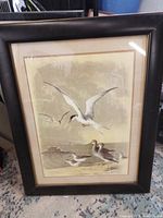 Entire framed bird art print