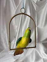 Full front view of parrot within arched metal frame
