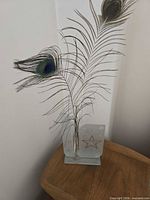 Overall view of feathers inserted in frosted glass holder