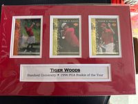 Overall view of matted display showing three cards and plaque