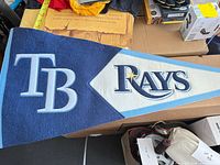 Full view of Tampa Bay Rays wool pennant