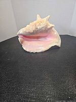 Front view showing pink interior and flared lip