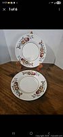 Front view of both plates showing fruit border and gold rim