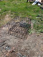 overall view of square metal wire trap on ground