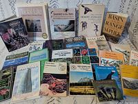 Full lot overview showing front covers of many books