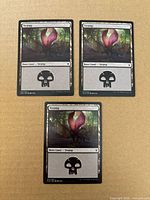 Three Ixalan Swamp cards laid out on surface showing fronts