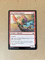 Front of Sun-Collared Raptor card