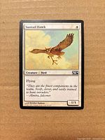 Front of Suntail Hawk card showing artwork, set symbol and card text