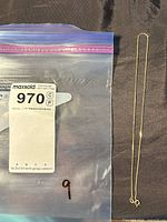 Necklace beside labeled bag showing entire chain and clasp