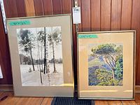 Both framed prints side by side to show lot contents, frames, mats, scale tags