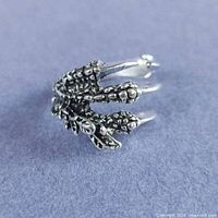 Top view of silver bird claw ring showing talon and feather texture