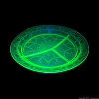 Plate under UV showing green fluorescence and divided sections